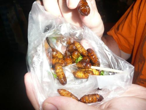 Apetitosos insectos tailandeses